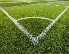 中国女排以,击败荷兰队,朱婷斩获,千亿体育官方,千亿体育在线官网,千亿体育线上,千亿体育APP