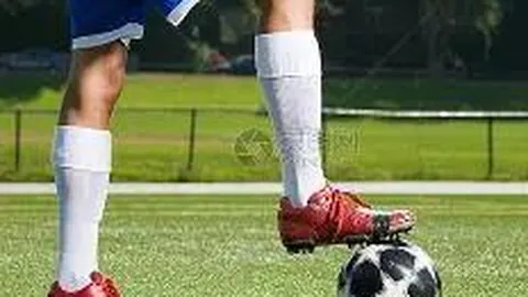 千亿体育 资讯 103557 m9a